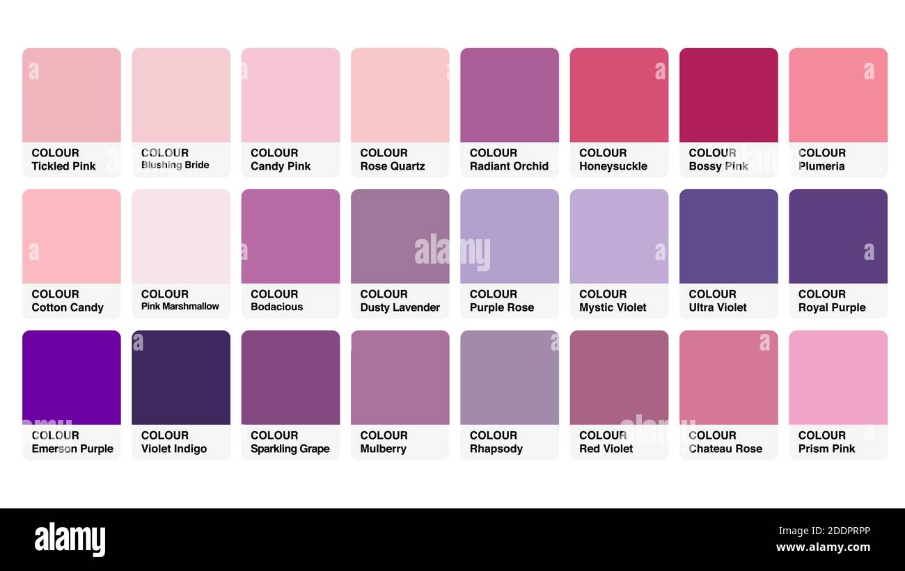 Colour Palette Catalog Pink Purple Samples Vector In RGB Stock Vector 