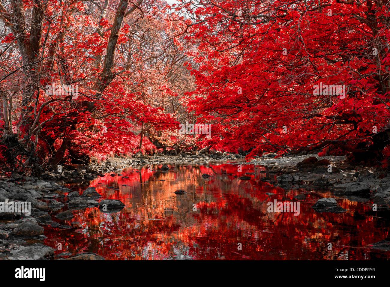 Infrared Red River Stock Photo Alamy