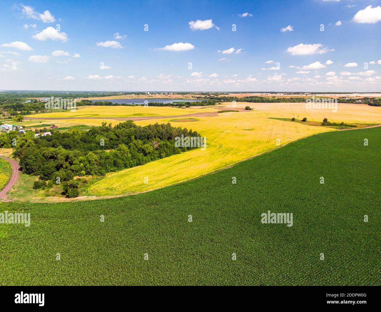 Top view of a corn and sunflower fields in Russia Stock Photo - Alamy