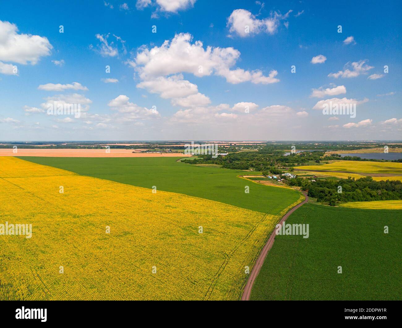 Top view of a corn and sunflower fields in Russia Stock Photo - Alamy