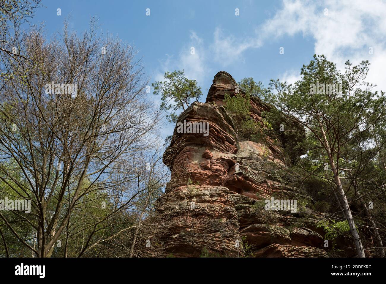 Sandstone rock formation called Elwetritschefels near Dahn, Rhineland- Palatinate, Germany Stock Photo
