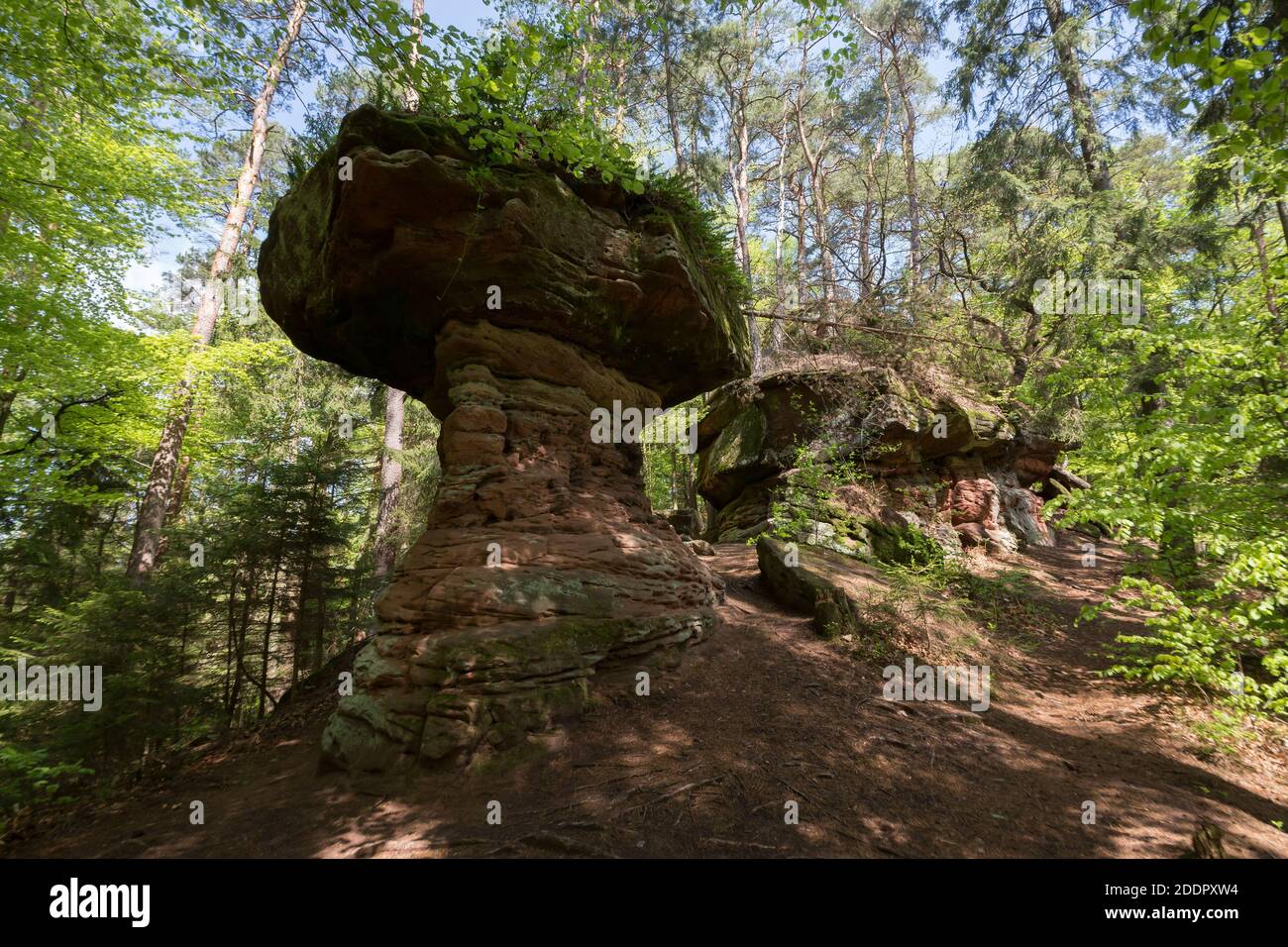 Sandstone rock formation called Hexenpilz near Dahn, Rhineland- Palatinate, Germany Stock Photo