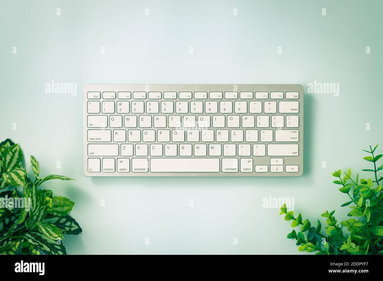 White Portable Computer Keyboard Keys or Keyboard Button and Tree or Plant at Bottom on Blue Pastel Minimalist Background in Vintage Tone Stock Photo