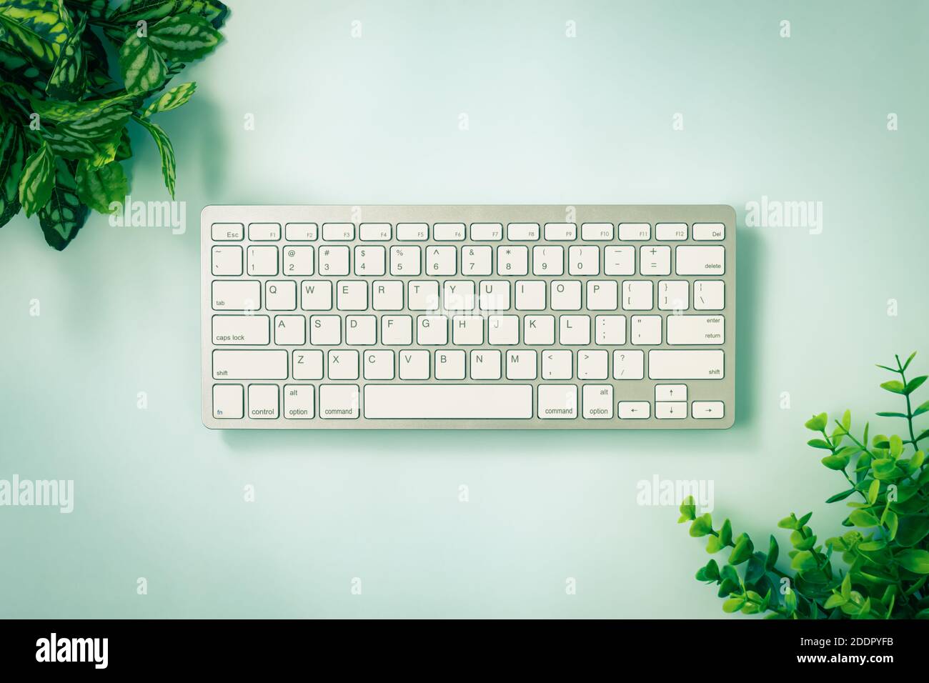 White Portable Computer Keyboard Keys or Keyboard Button and Tree or Plant at Top Left and Bottom Right Corner on Blue Pastel Minimalist Background in Stock Photo