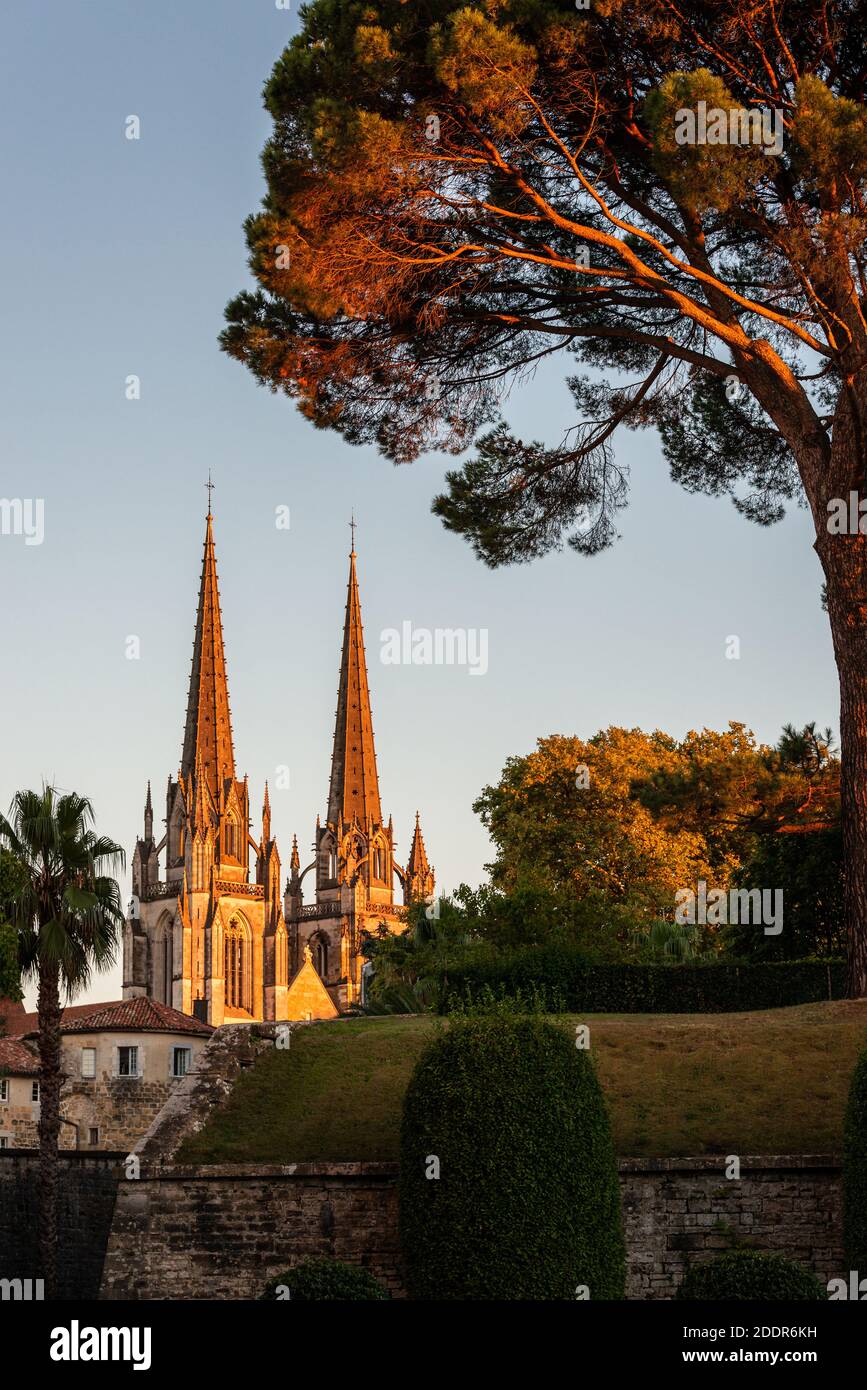 Bayonne Cathedral at sunset, France Stock Photo
