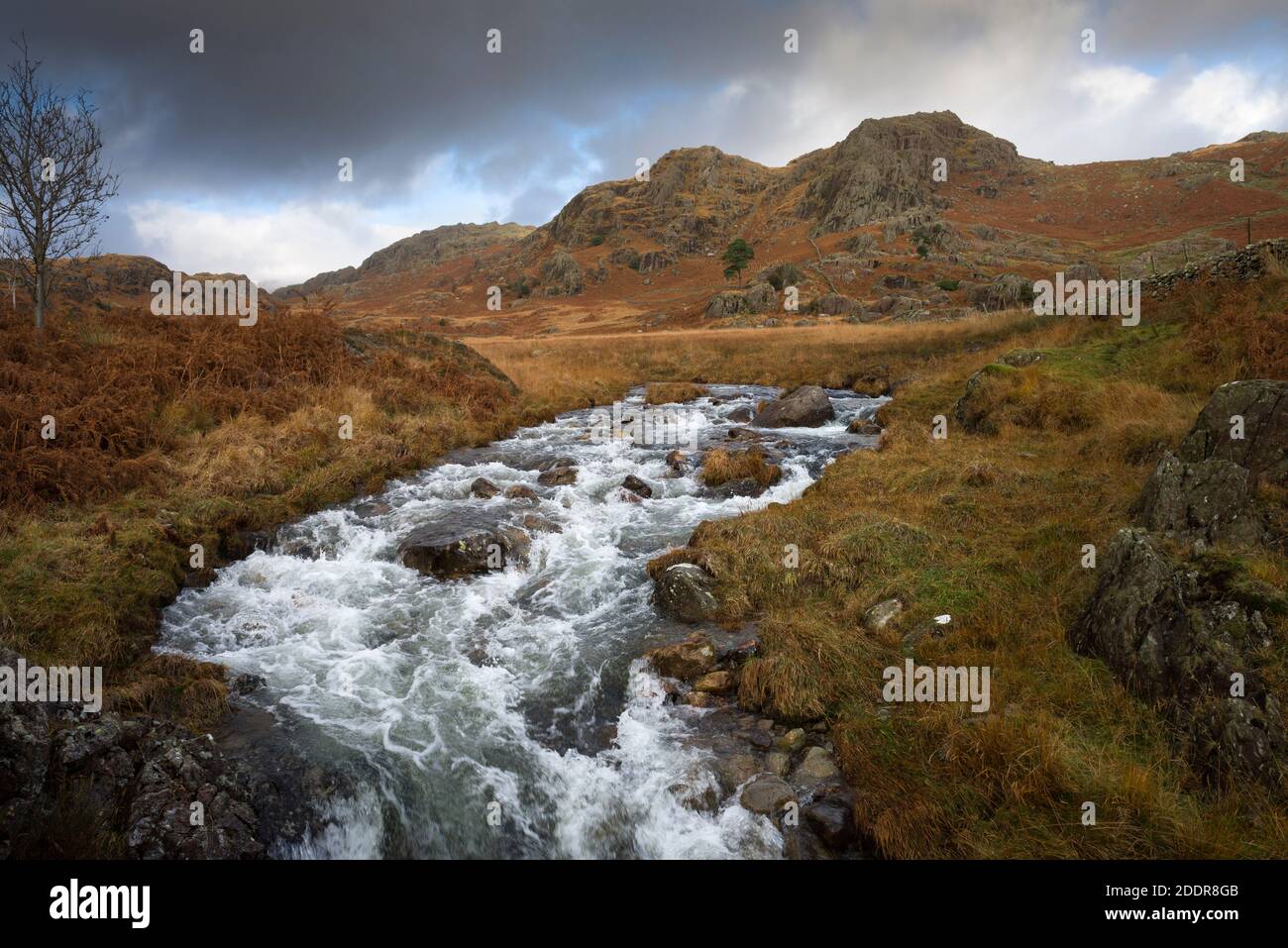 Tarn Beck near Seathwaite in the Duddon Valley with Throng Close and Tongue House Close beyond in the English Lake District National Park, Cumbria, England. Stock Photo