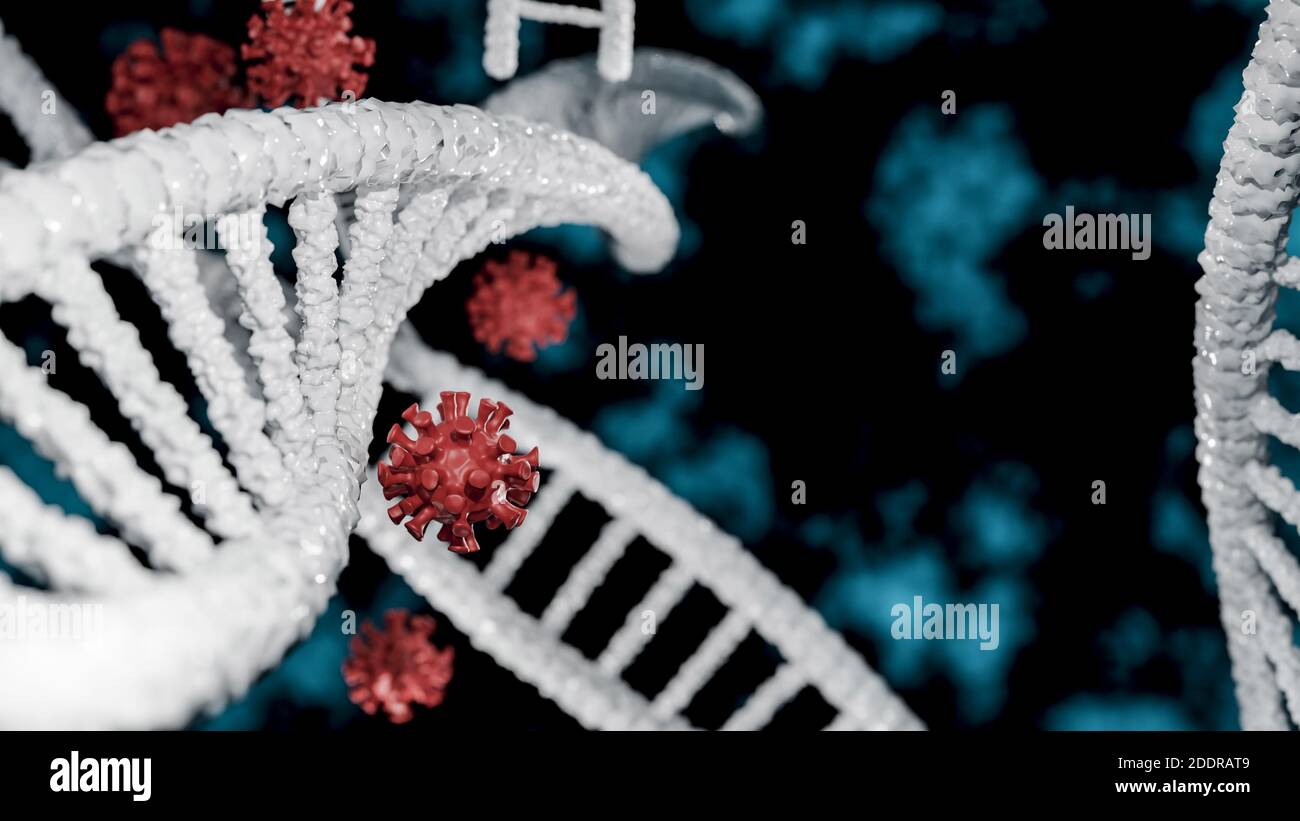 Antibodies attacking coronavirus covid 19 as dna concept in 3d illustration. Stock Photo