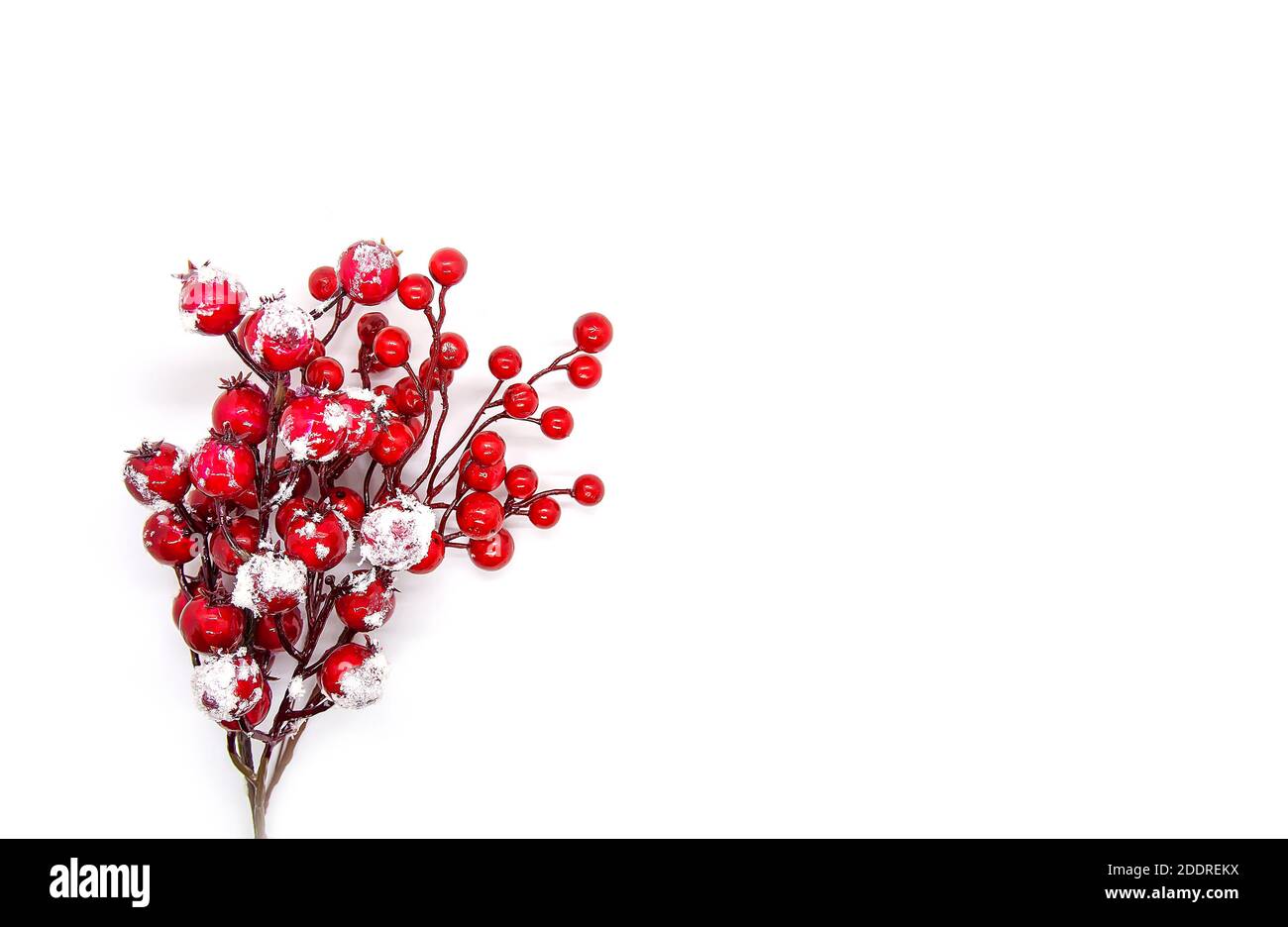 Festive New Year or Christmas background with red holly plant berries. Stock Photo