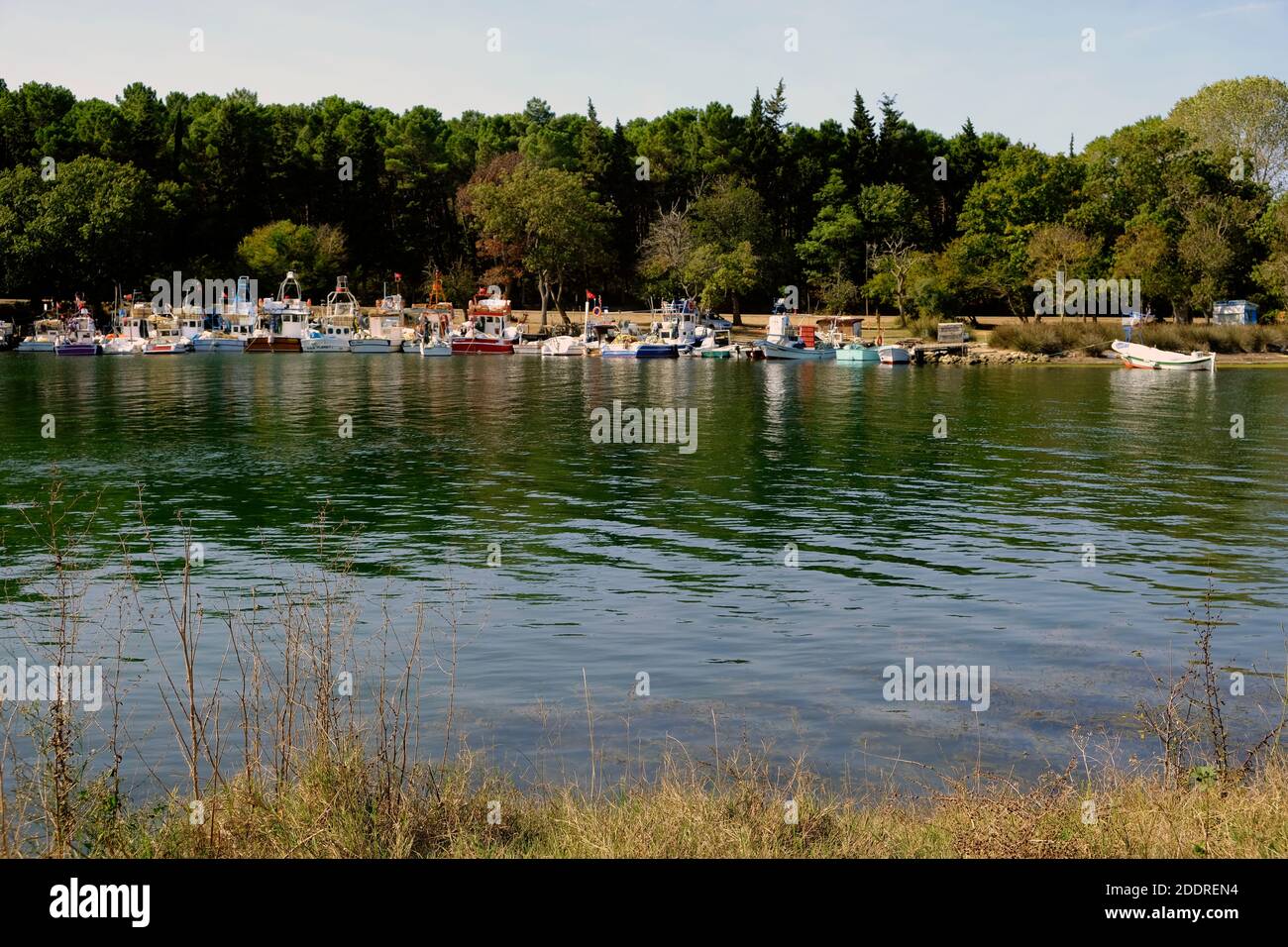 Akliman, where the forest meets the sea, is located 8 kilometers from Sinop city center. Stock Photo