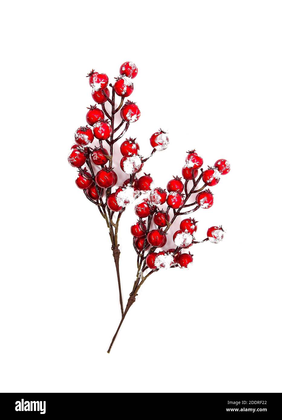 Festive New Year or Christmas background with red holly plant berries in snow. Stock Photo