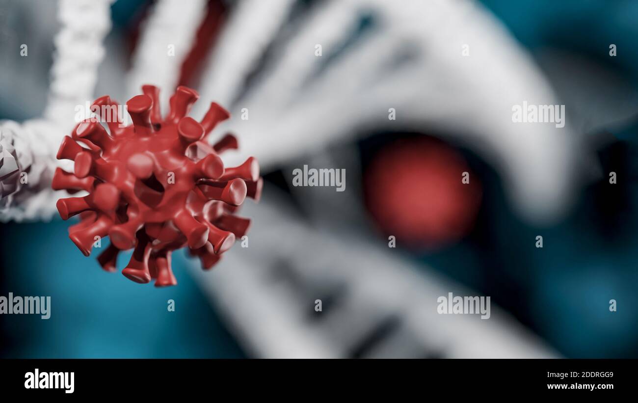DNA Antibodies attacking coronavirus covid 19 as dna concept in 3d illustration. Stock Photo