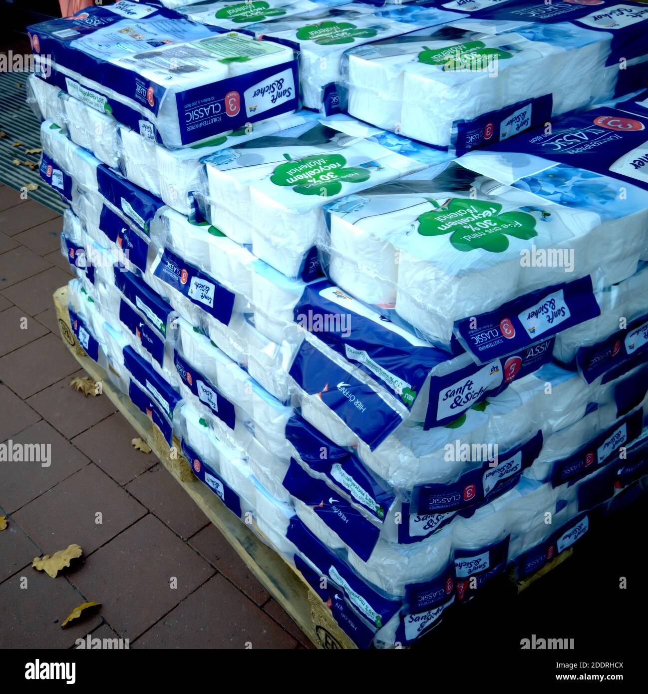 DM private label toilet paper of a discounter stacked on a euro-pallet in  front of the entrance of the store in Gifhorn, Germany, November 17, 2020  Stock Photo - Alamy