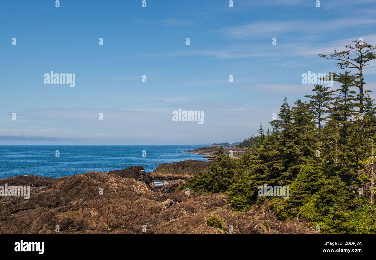 wild pacific rim views, Ucluelet, Vancouver Island, British Columbia, Canada Stock Photo