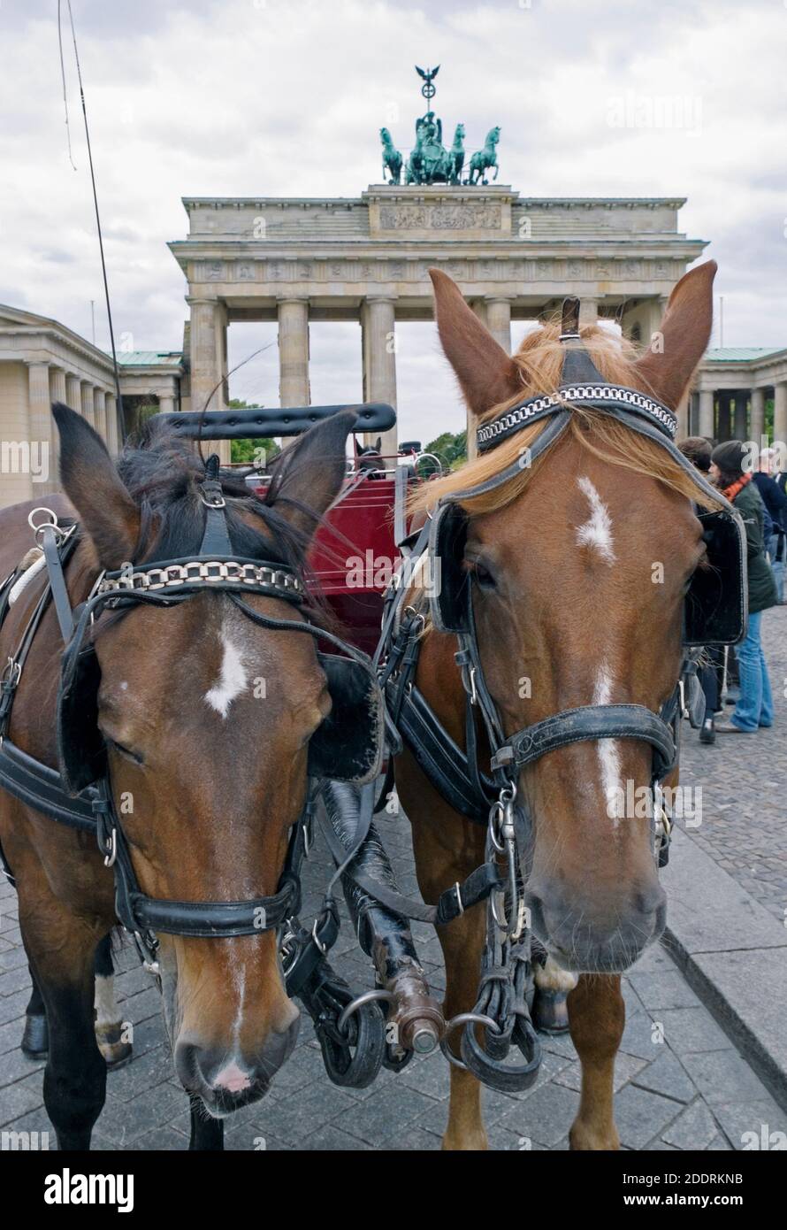 tourist horse chariot, Brandenburg Gate, Berlin Stock Photo Alamy