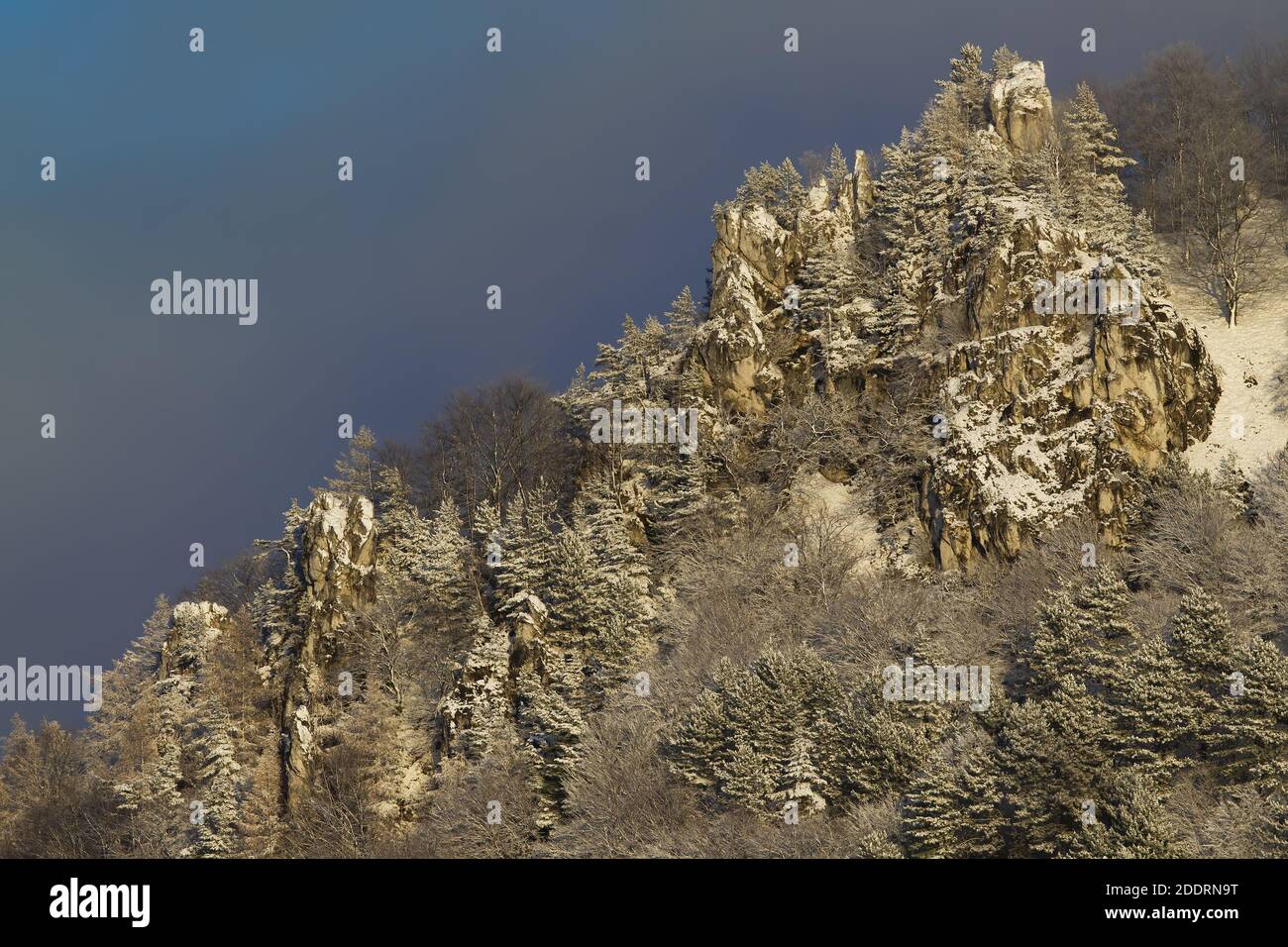 Rocky hill side with pine trees growing on it covered with snow in winter Stock Photo