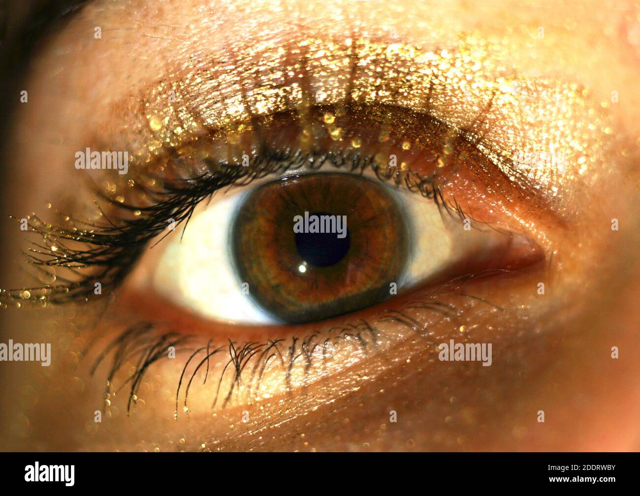 eye of a woman with gold colored make-up, macrophotography Stock Photo