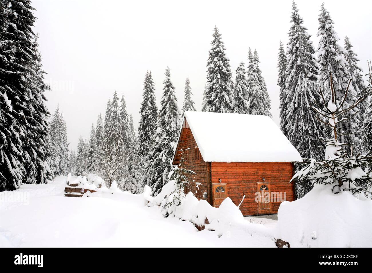 A small cozy wooden house in a snow-covered forest, scenic winter ...