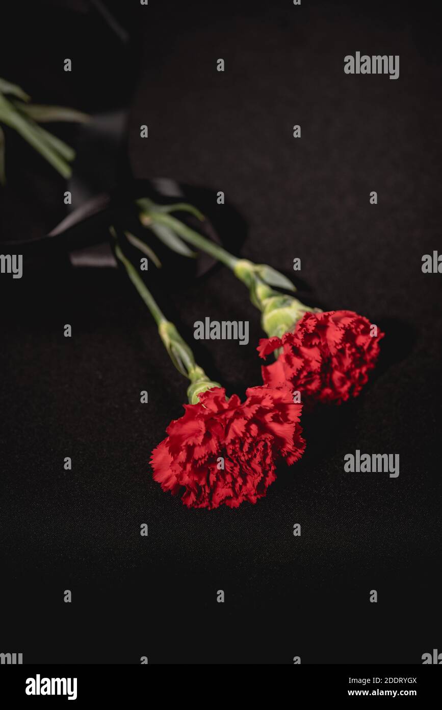 two red carnation flowers with ribbon on black background, funeral concept  Stock Photo - Alamy