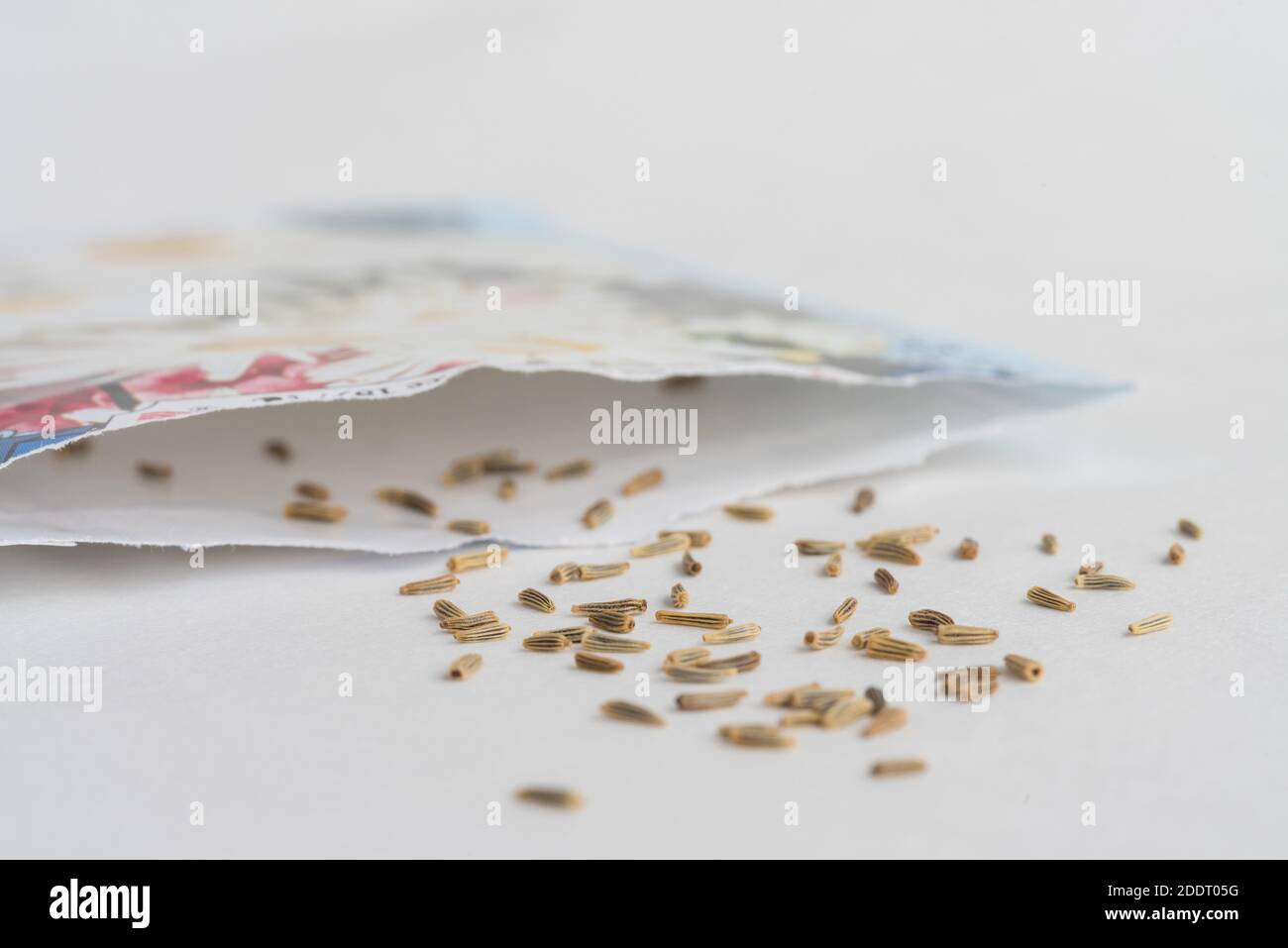 Daisy Seeds Spilled from a Seed Packet Stock Photo - Alamy