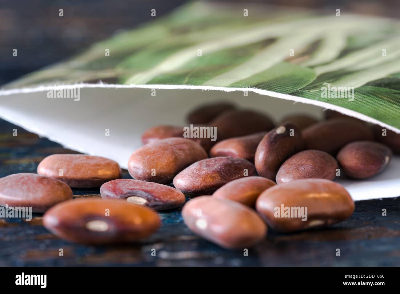 Green Bean Seeds Spilled from a Seed Packet Stock Photo Alamy