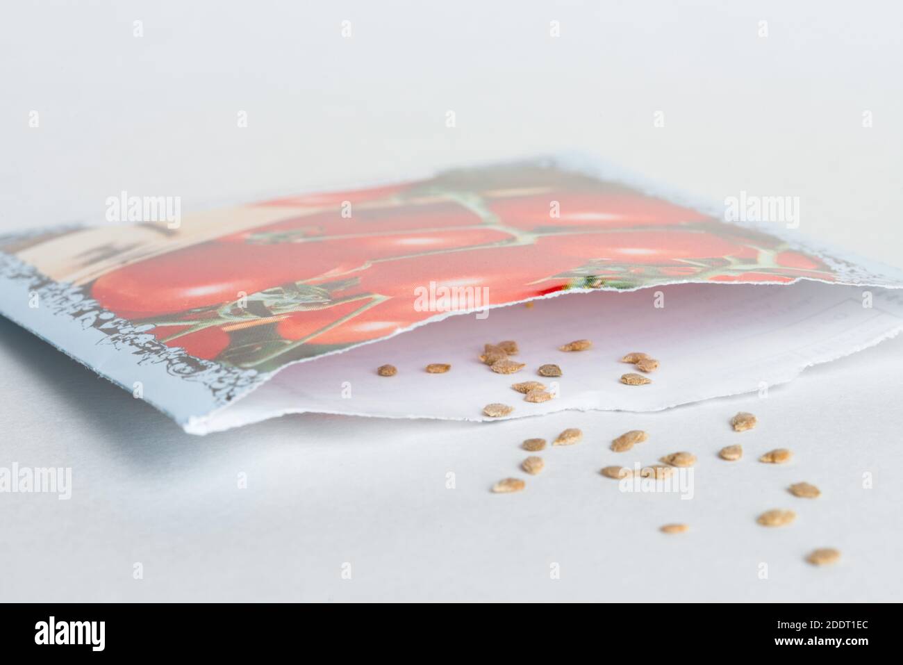 Tomato Seeds Spilled from a Seed Packet Stock Photo Alamy
