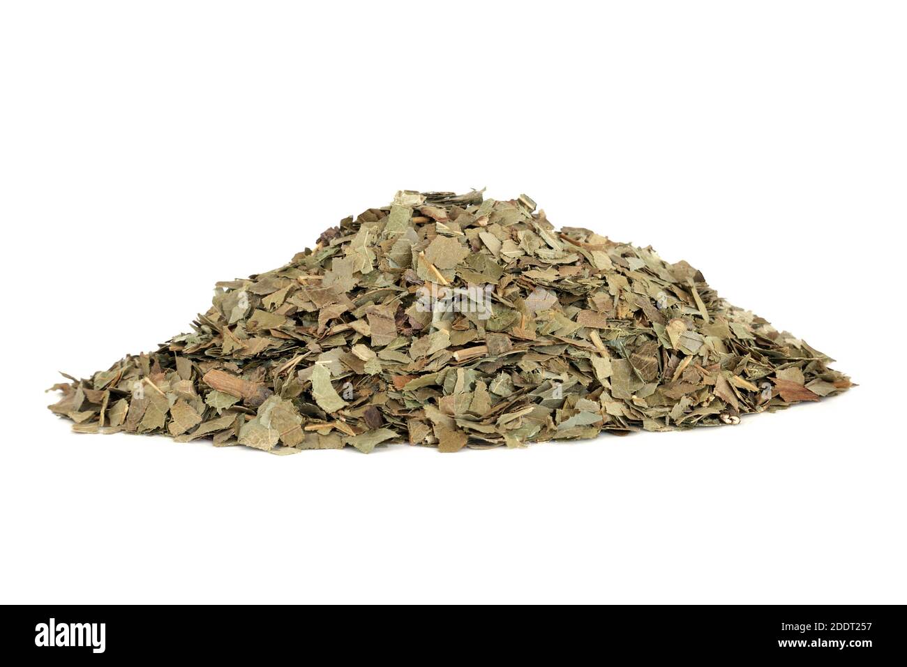 Ash herb leaves used in herbal medicine to treat fever, arthritis, gout, constipation, fluid