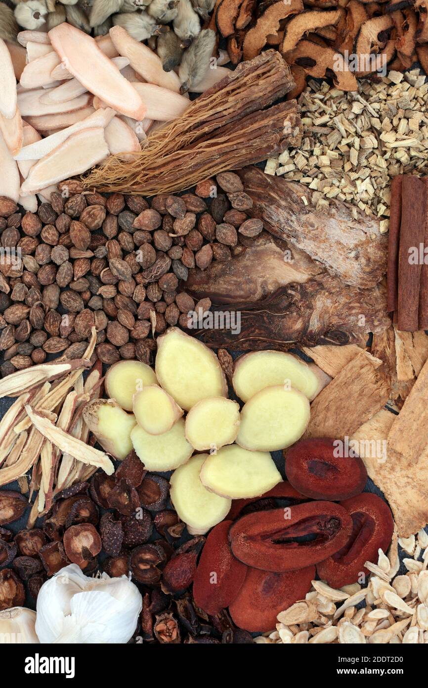 Chinese herbs for cold & flu virus remedy & prevention used in traditional herbal medicine. Used to treat fever, lung disease and coughs. Stock Photo