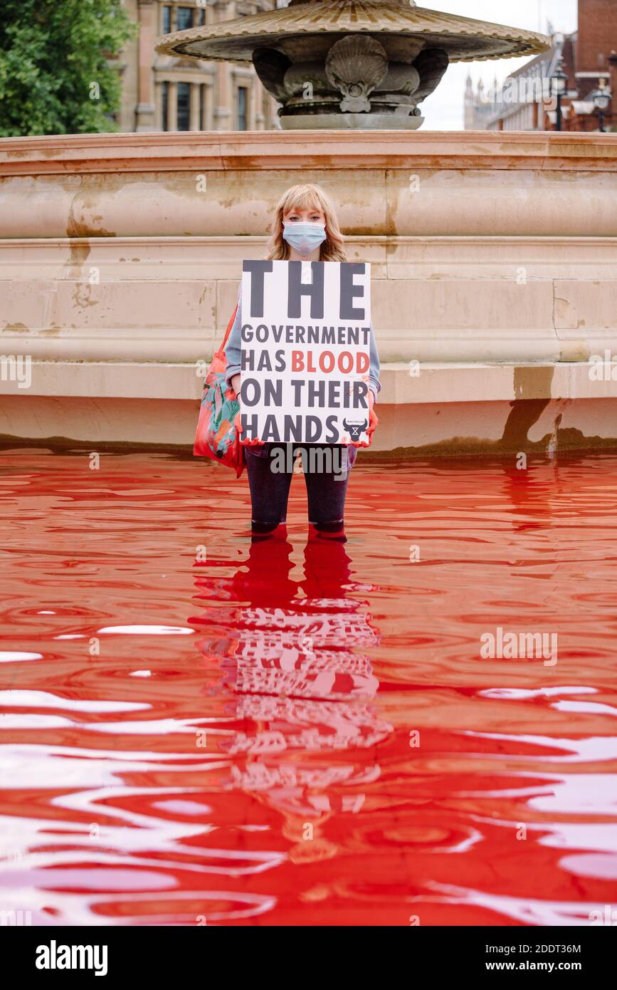 London, United Kingdom - July 11, 2020: Animal Rebellion action on the impacts of animal agriculture and the governments blood on their hands Stock Photo