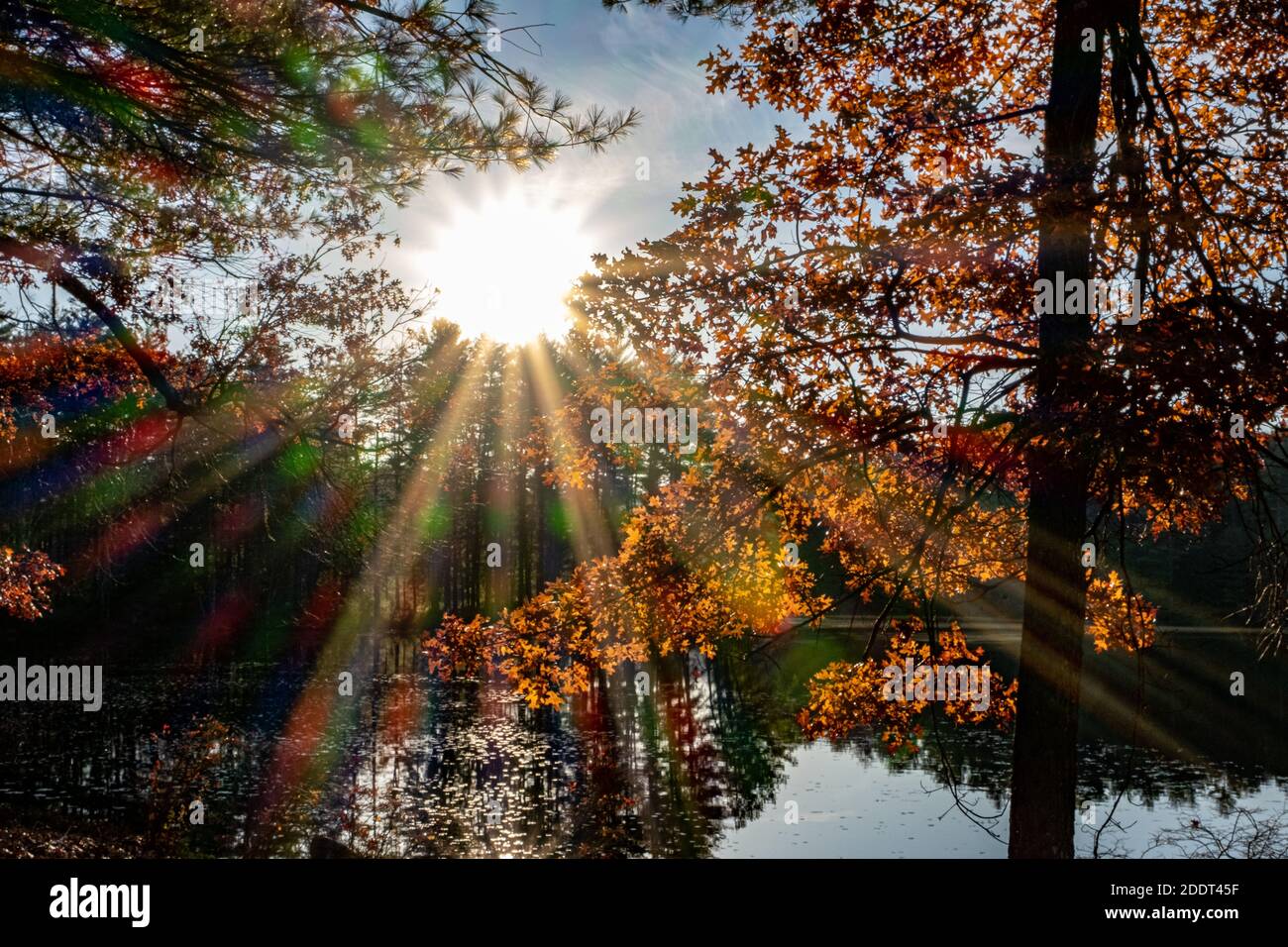 A sunburst late in the afternoon on a fall day at Gate 31 in the Quabbin Reservoir Stock Photo