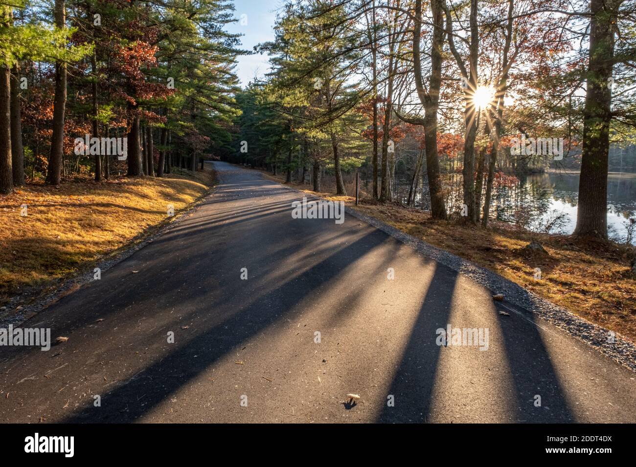 A road leading into the Quabbin Reservoir at Gate 31, late in the afternoon on a fall day Stock Photo