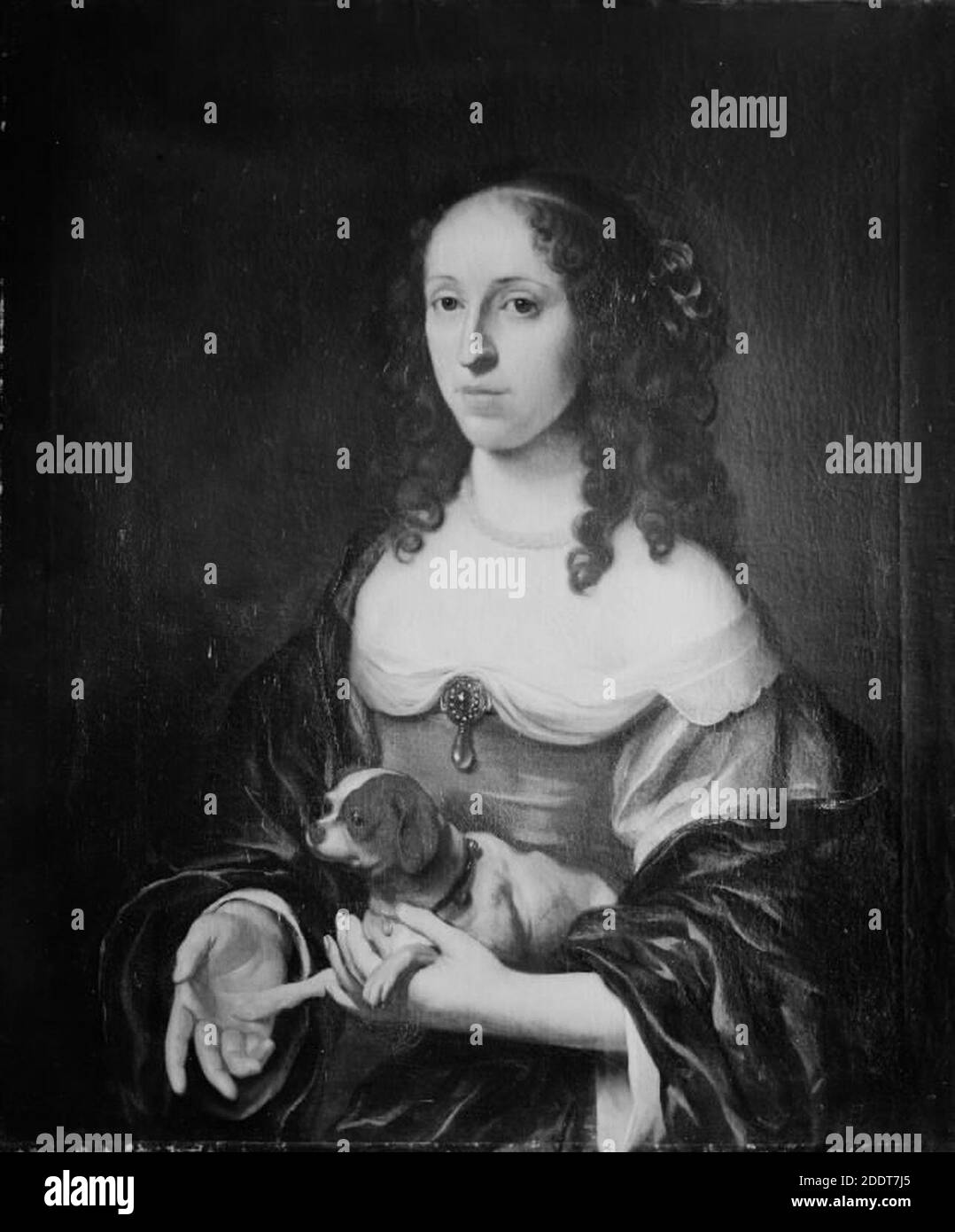 Lady with a dog hi-res stock photography and images - Alamy