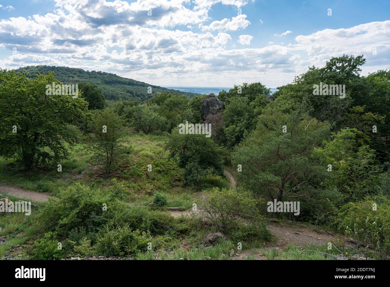 View from the top of the rock wall of the Stenzelberg over the wooded area. Stock Photo