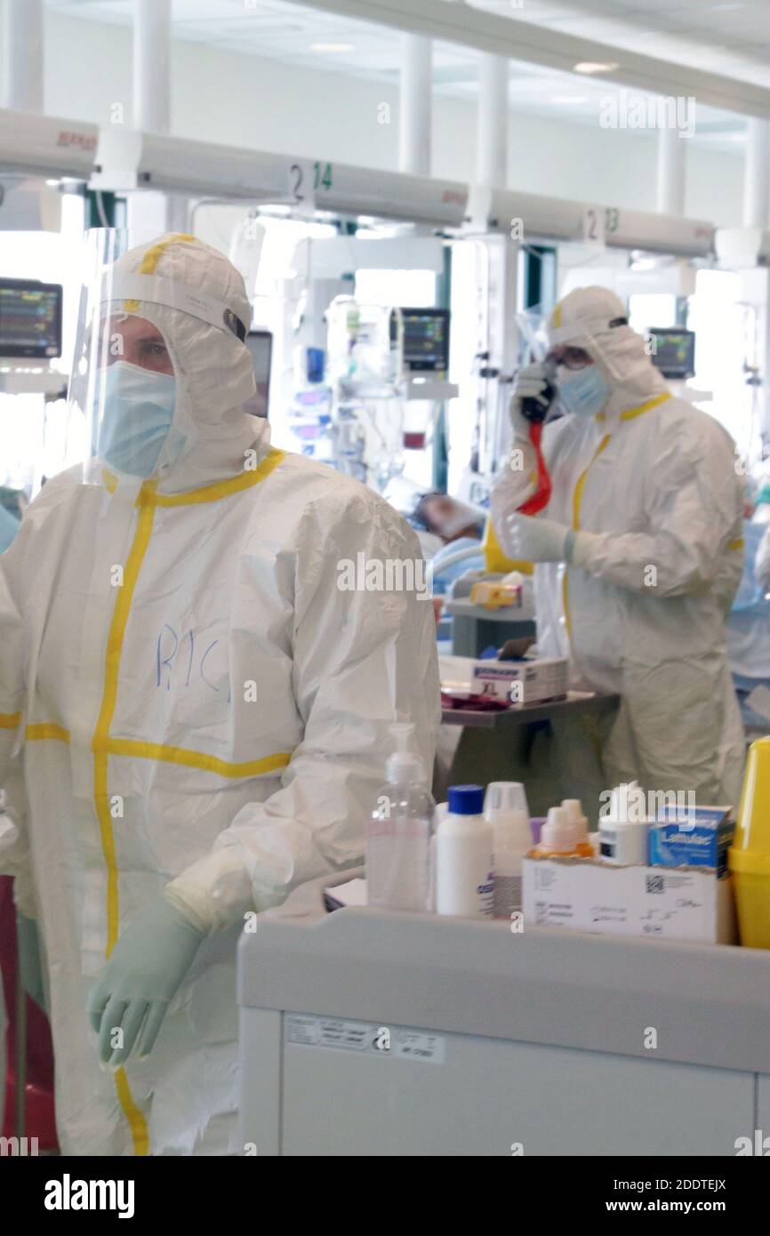 Ospedale maggiore bologna hires stock photography and images Alamy