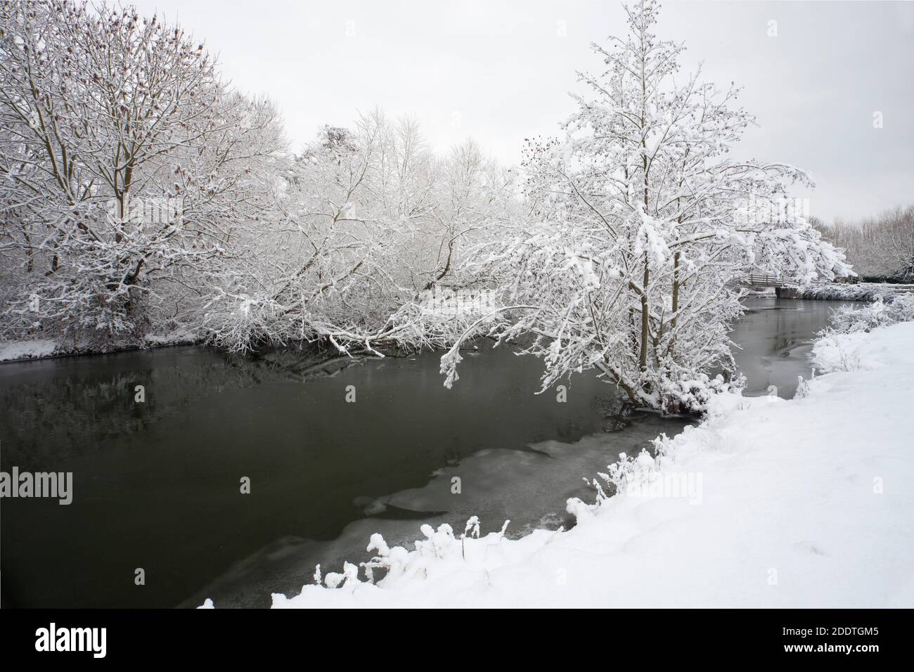 Snow, ice and willows on the wintry banks of the river Stour at Flatford in Suffolk Stock Photo