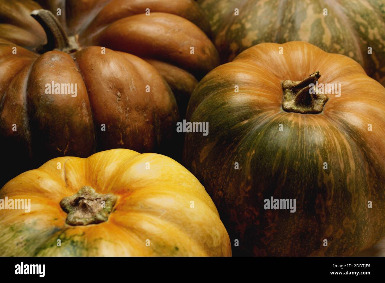 Toned autumn background with pile of pumpkins Stock Photo - Alamy