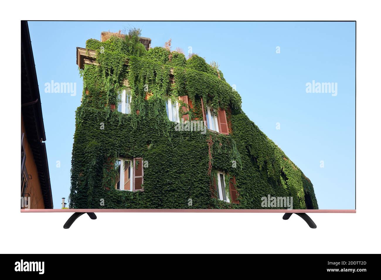 A modern TV with a resolution of 8K which shows the building is completely overgrown with vine lightly. TV set isolated on white background Stock Photo