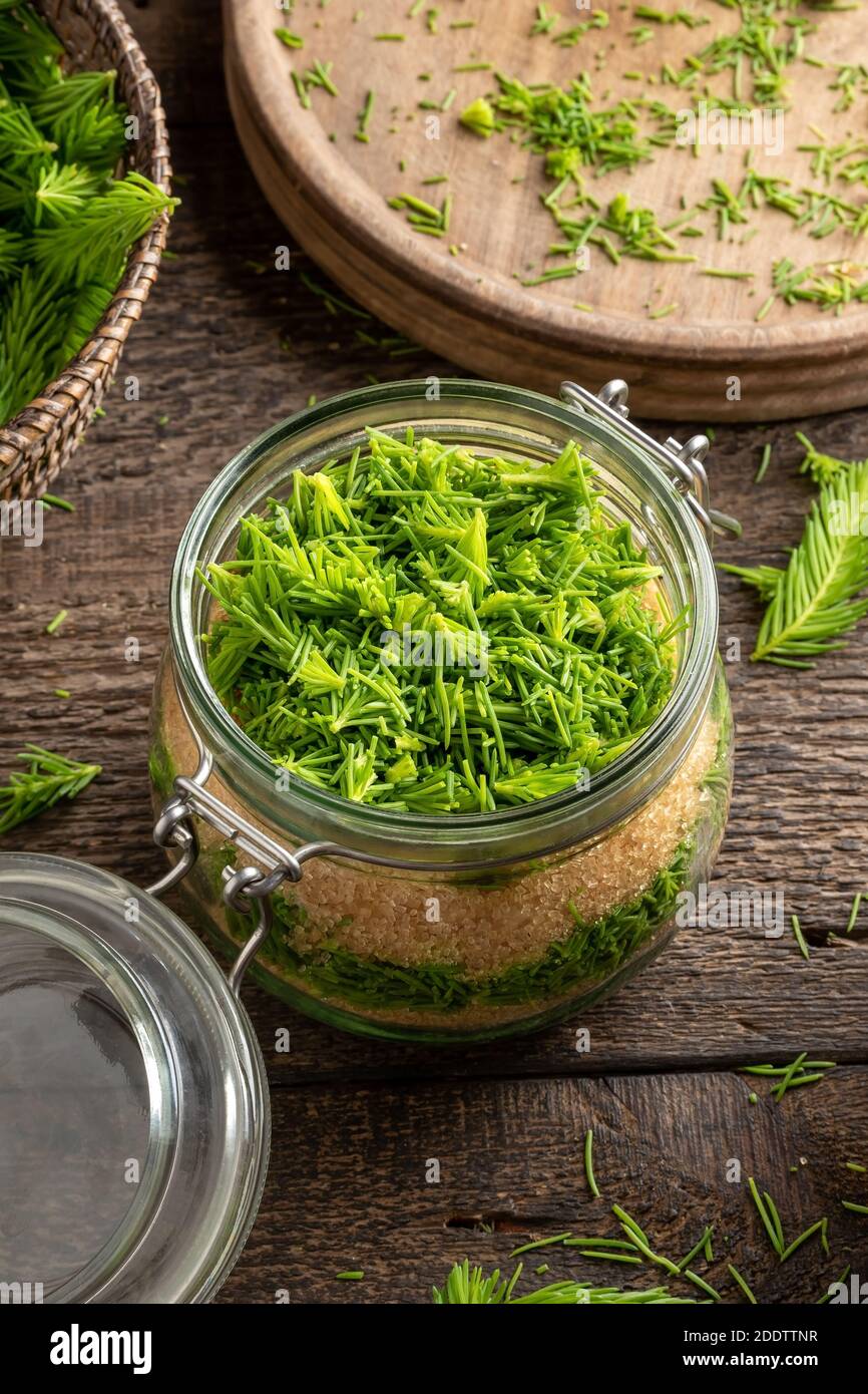 Preparation of homemade syrup against cough from spruce tips and sugar Stock Photo