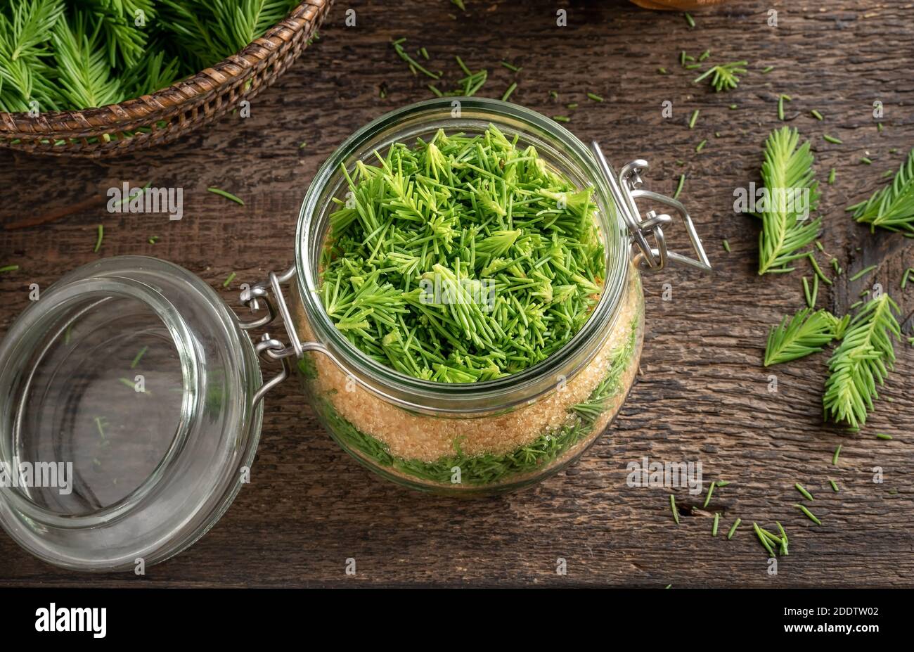Preparation of herbal syrup against cough from young spruce tips and sugar Stock Photo