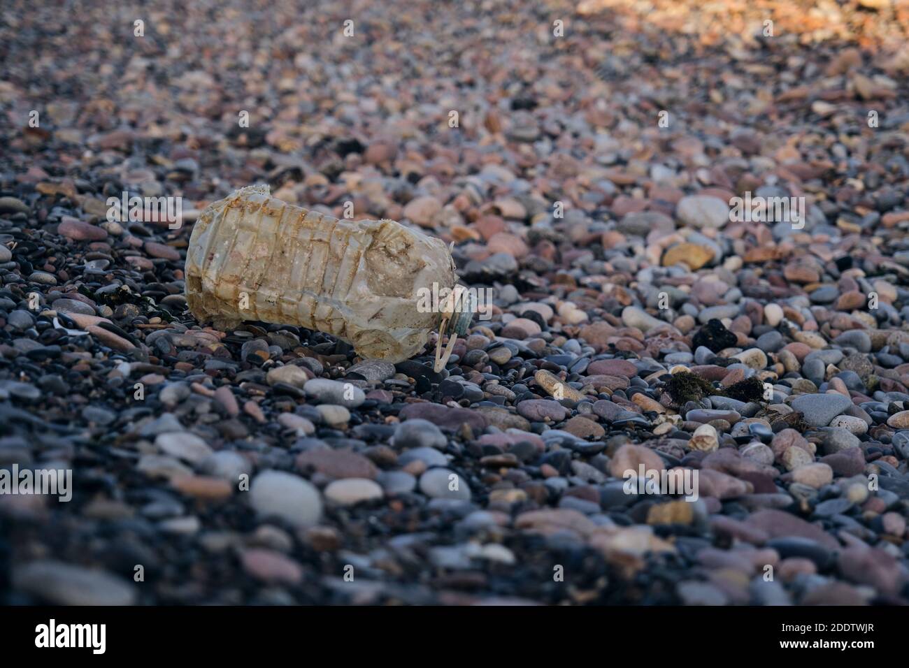 used plastic bottle on the beach Stock Photo
