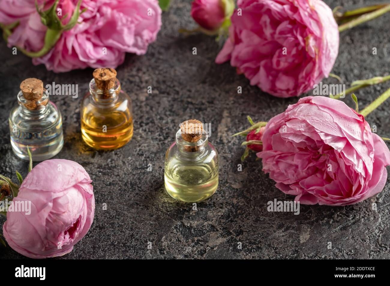 A bottle of essential oil with fresh roses Stock Photo Alamy