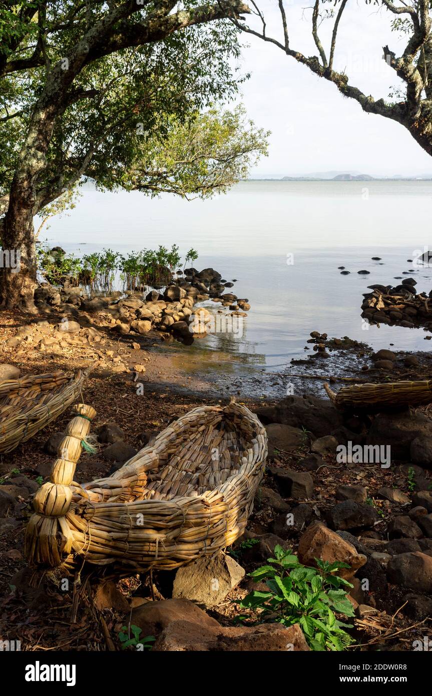 Tankwa traditional Ethiopian reed boat made from Papyrus on Lake Tana in Northern Ethiopia Stock Photo