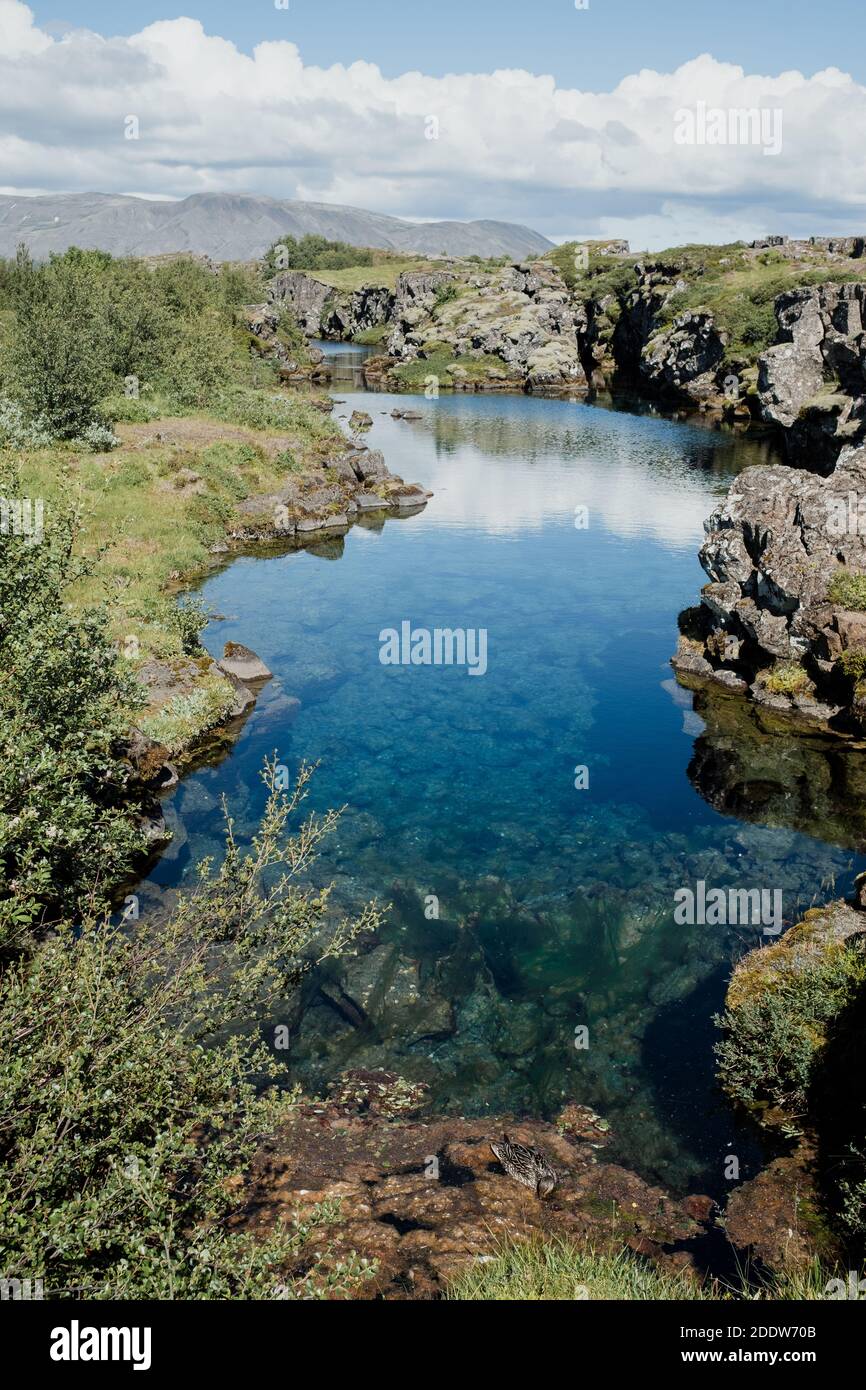 The crystal clear glacier water flows between the rock fissures in the volcanic landscape of Thingvellir National Park in summer in Iceland Stock Photo