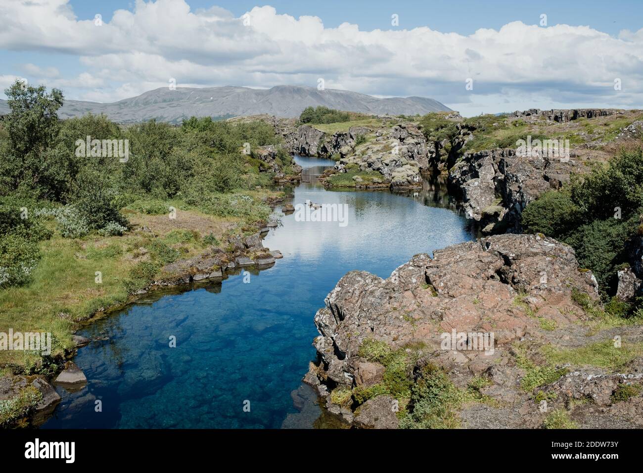 The crystal clear glacier water flows between the rock fissures in the volcanic landscape of Thingvellir National Park in summer in Iceland Stock Photo
