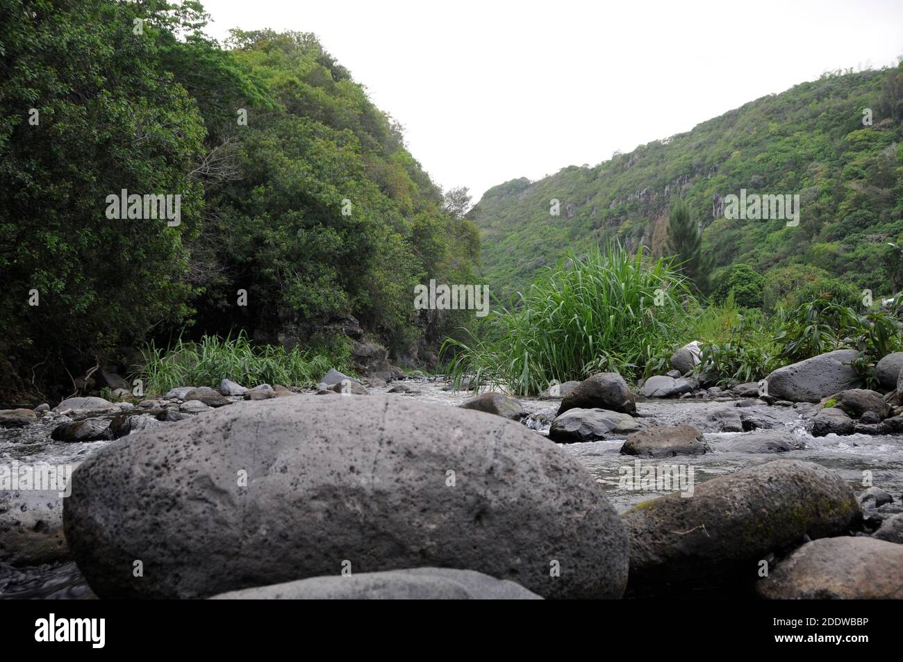 River rocks rounded o er time in Saint Denis river, on Reunion island Stock Photo