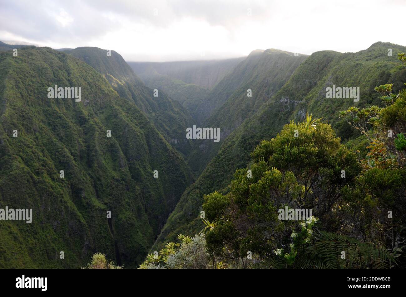 Views of Reunion island's craggy interior of gorges and untouched forest, seen from a hiking rail by the golf course in St Denis Stock Photo