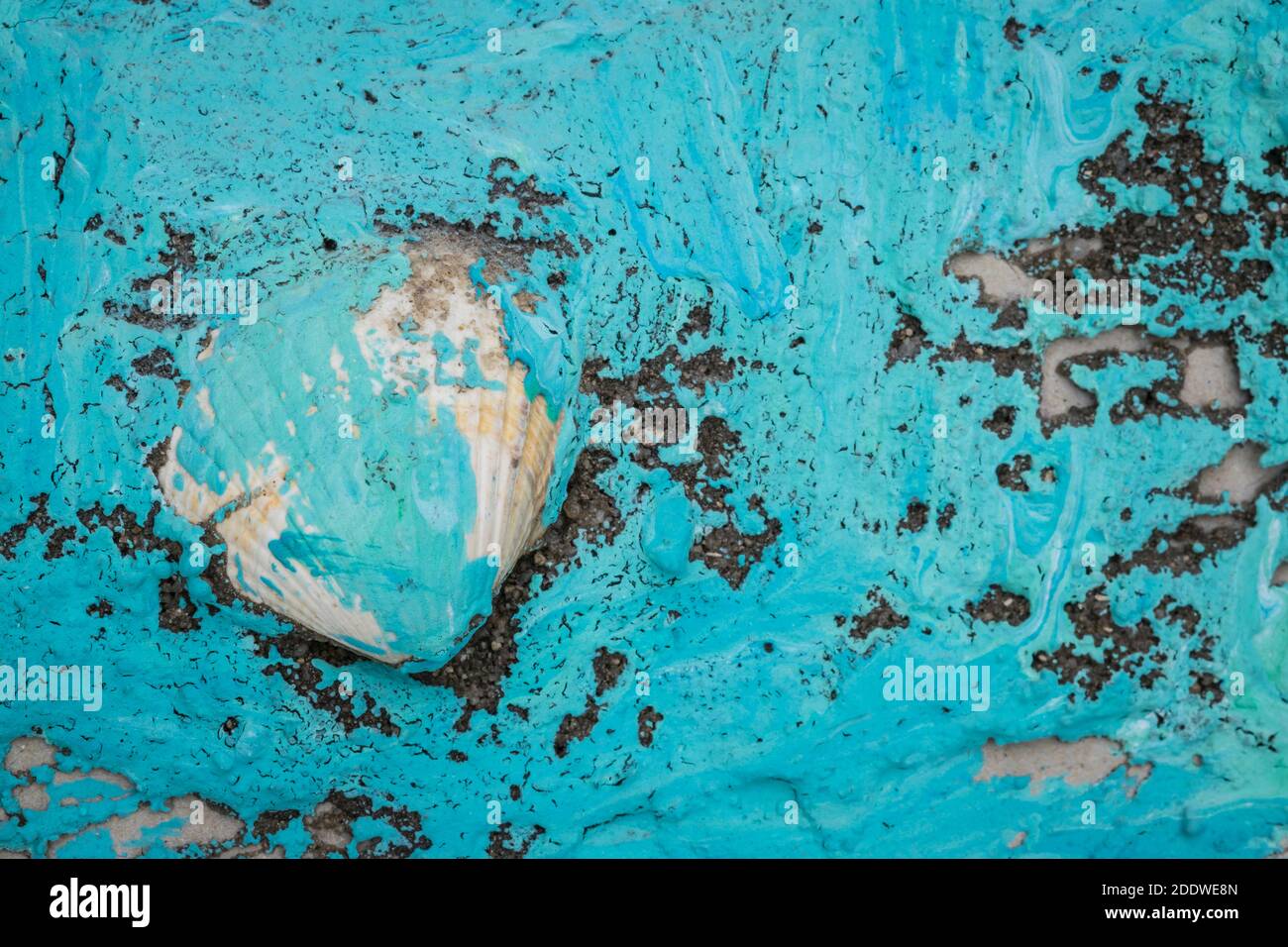 backround pattern from seashells and blue paint Stock Photo