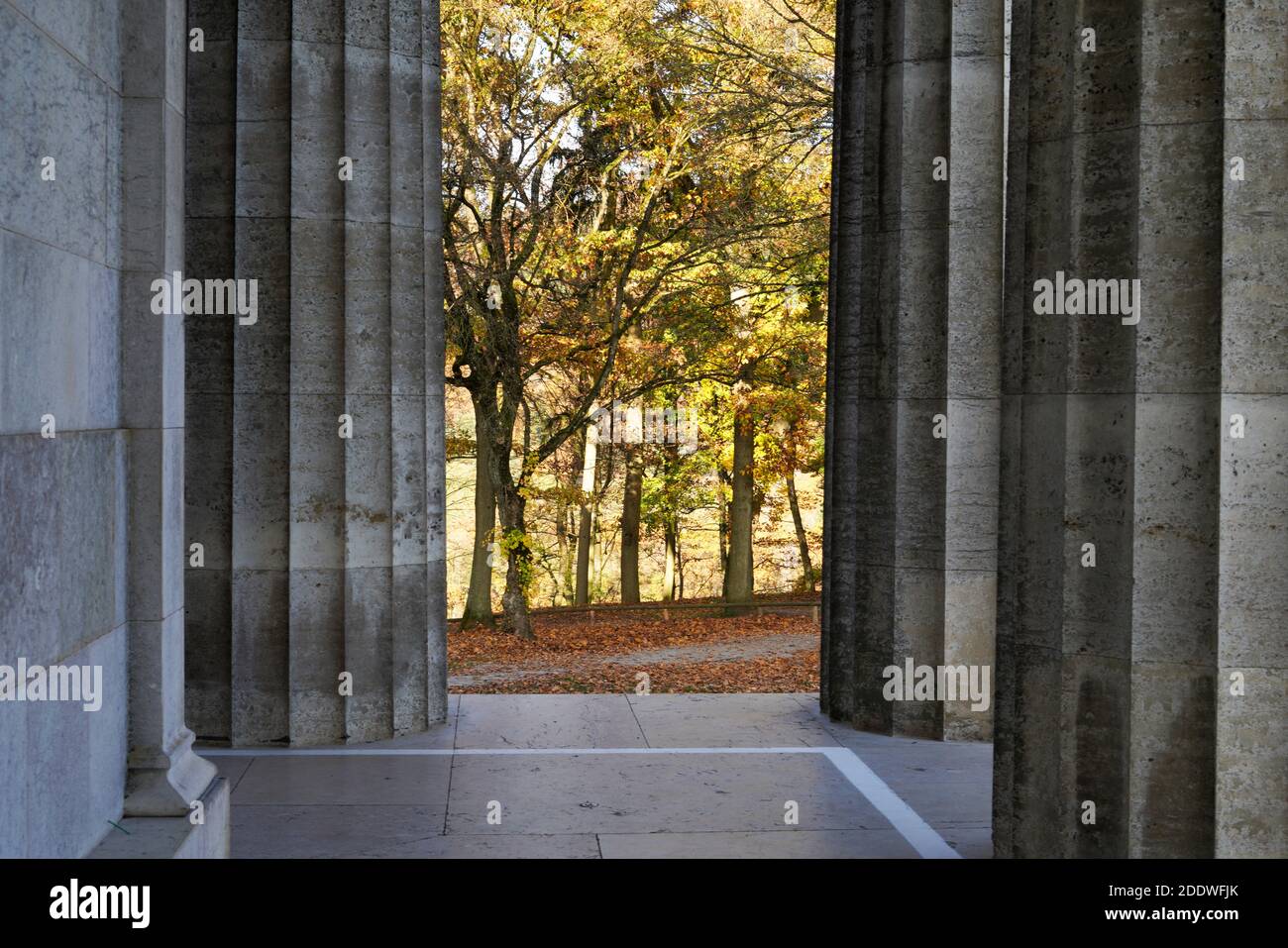 Giant Tree Colums A view of trees at a park as seen through big building columns Stock ...