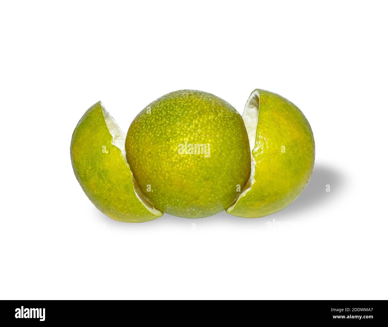 mosambi sweet lime fruit isolated on white backgrounds Stock Photo