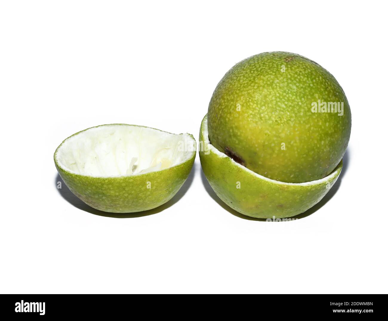 mosambi sweet lime fruit isolated on white backgrounds Stock Photo Alamy
