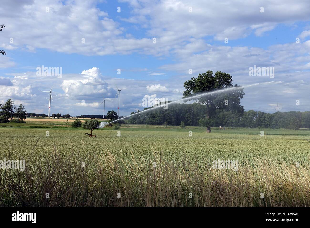 Kunstliche Bewasserung High Resolution Stock Photography And Images Alamy